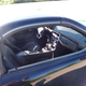 Illustration for article titled Buy This Manual Mercedes SLK So I Dont Have To